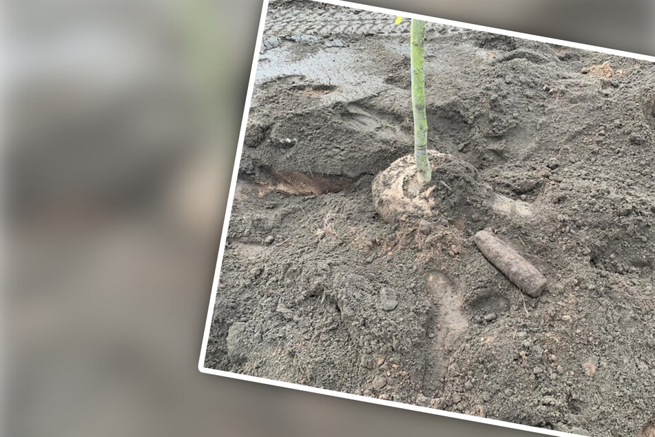 Nächster Bombenfund in Sachsen-Anhalt: Granate bei Pflanzarbeiten entdeckt