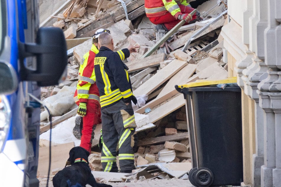 Die Spürhunde haben an mehreren Stellen angeschlagen.