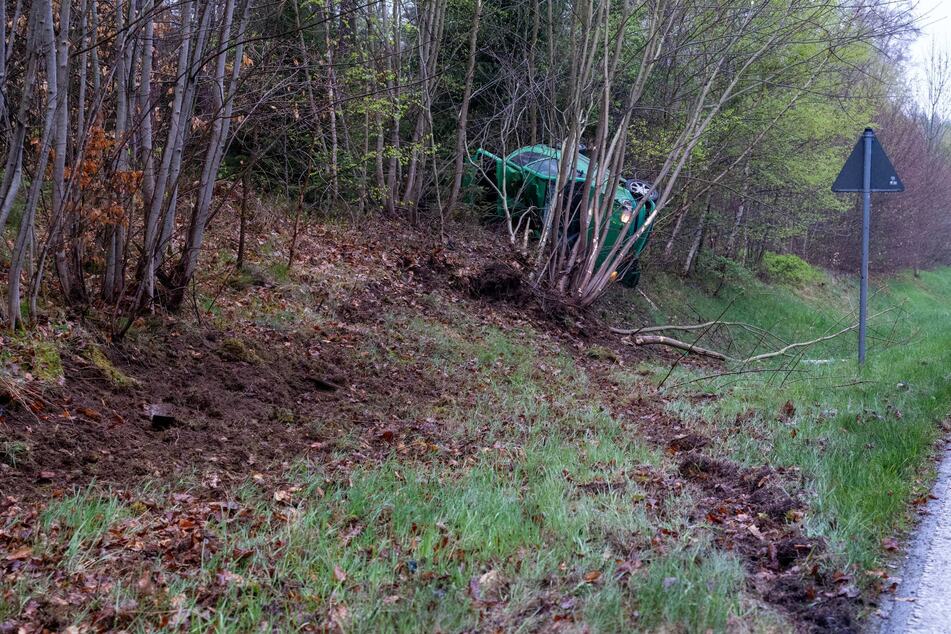 Der grüne VW Polo landete im Geäst.