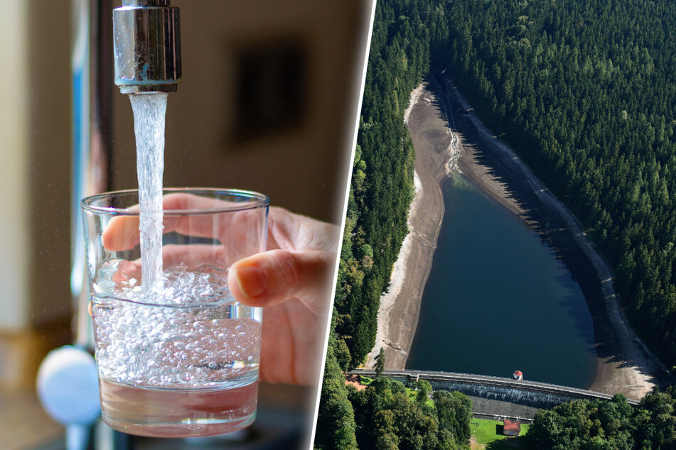 Chemnitz: Stink-Algen in Chemnitzer Talsperre entdeckt! Kein Trinkwasser mehr aus Einsiedel