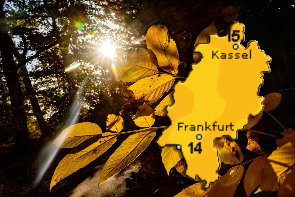 Sonnig und mild: Hessen freut sich auf goldene Herbsttage