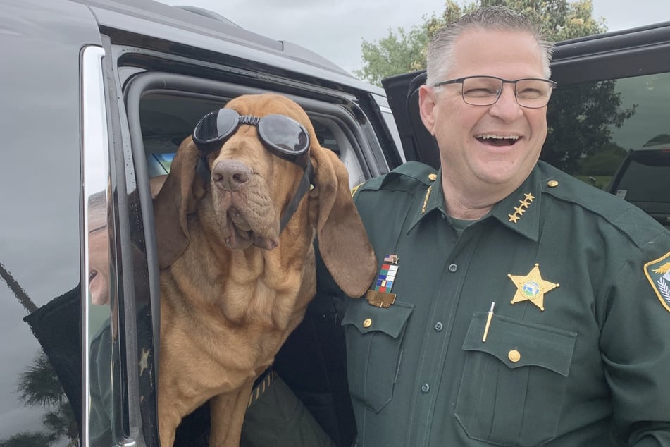 Mit Spaß bei der Arbeit lässt sich das Verbrechen besser bekämpfen. Hund Junny ist immer an der Seite des Sheriffs.