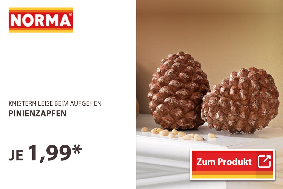 Pinienzapfen