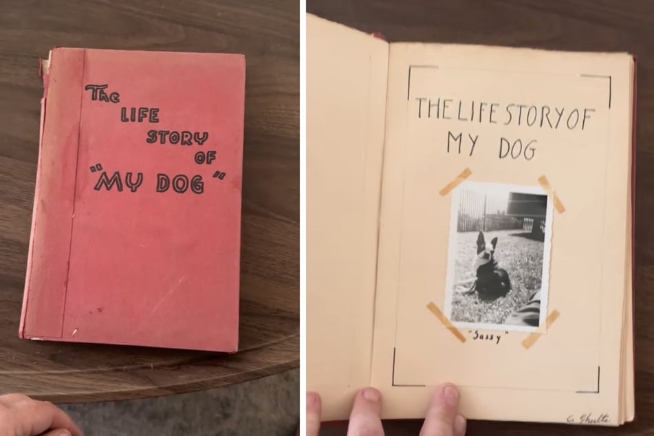 In dem Buch erzählt das Mädchen von dem Leben mit ihrem Hund Sassy.