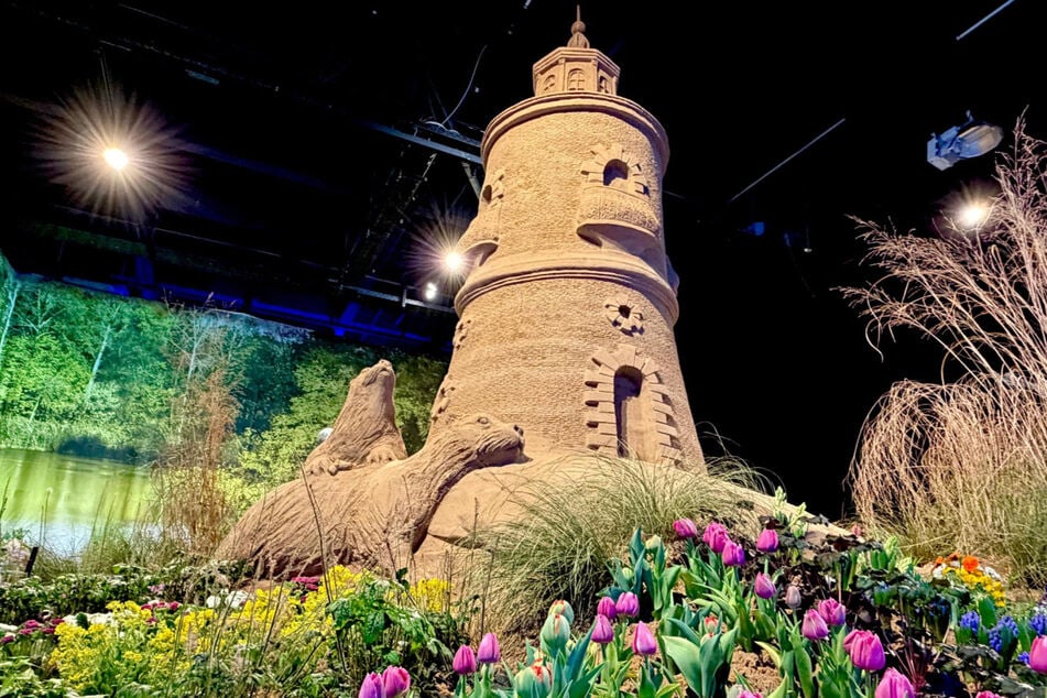 Farbschock gefällig? Der graue Alltag hat in Freital Hausverbot