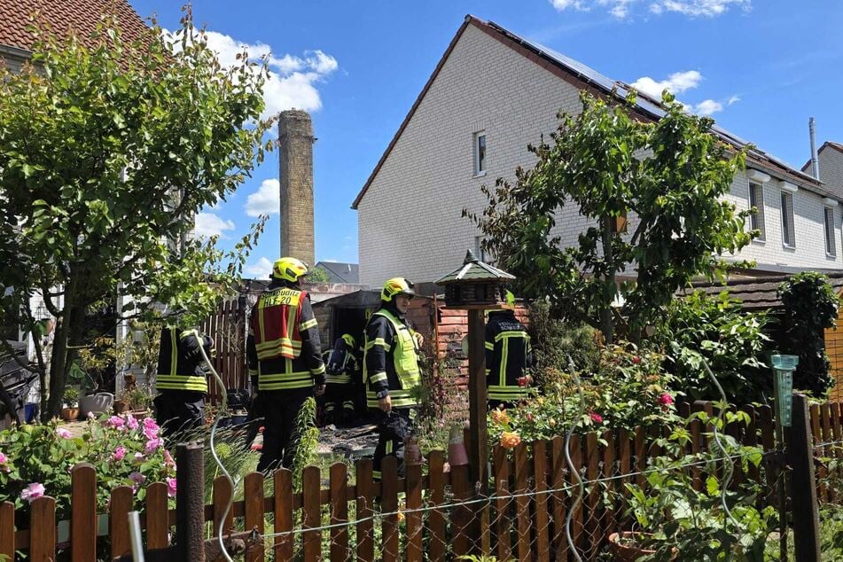 Nur wenige Meter entfernt zieht ein Storchenpaar seine Jungtiere auf.