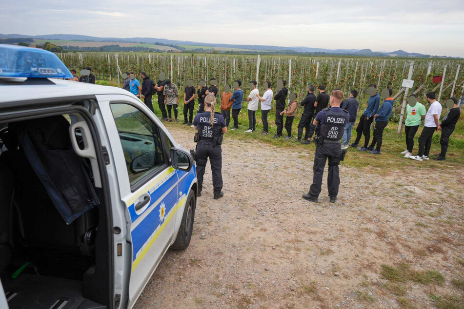 An einer Apfelbaum-Plantage in Pirna wurden 30 illegal eingeschleuste Migranten von der Bundespolizei gestellt.