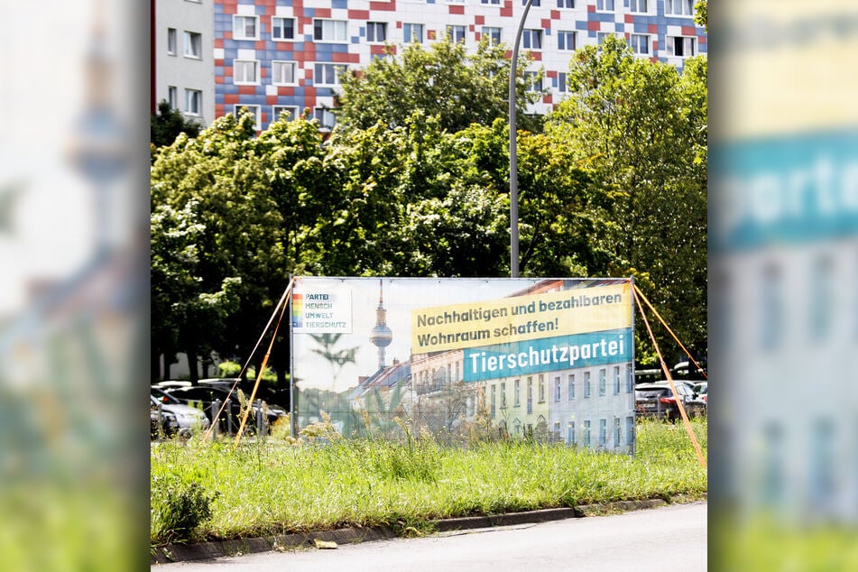 Auf einem Großflächen-Plakat wirbt die Tierschutzpartei für ihre Kandidatur zur Wahl ins Berliner Abgeordnetenhaus und den Bundestag.