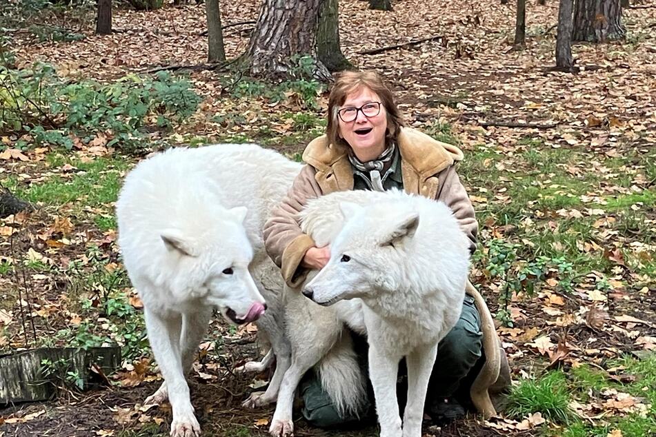 Biologin Marion Ebel mit den beiden Tundrawölfen Aslan (links) und Monja (rechts) im Hanauer Wildpark Alte Fasanerie.