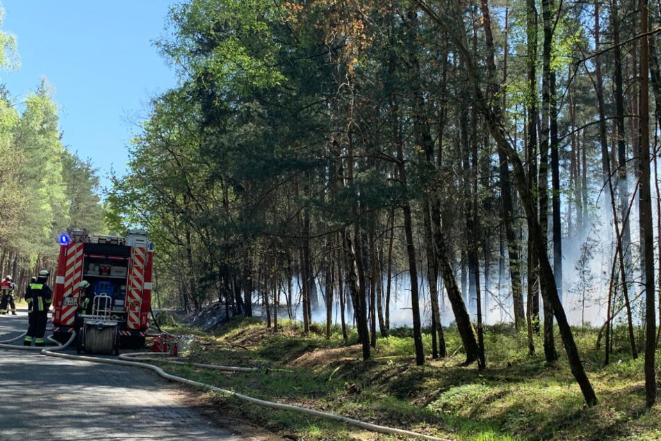 Einsatzwagen der Feuerwehr stehen neben dem brennenden Waldstück.