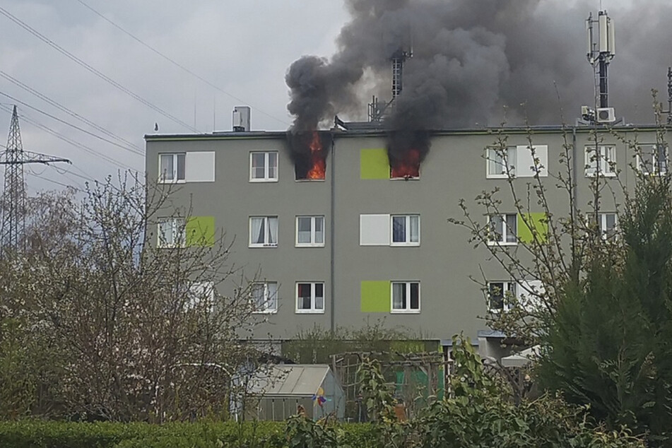 Schon von Weitem waren Flammen zu sehen, die aus der brennenden Wohnung schlugen.