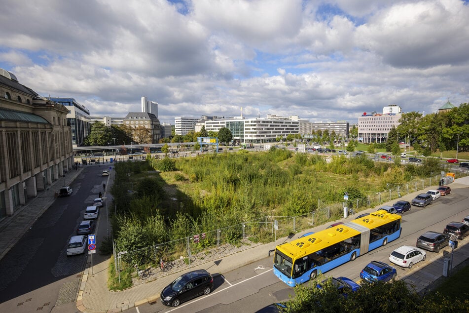 Völlig zugewuchert: Das riesige Bauloch in der Chemnitzer Innenstadt soll schon bald der Vergangenheit angehören. Hier entstehen neue Wohnungen.