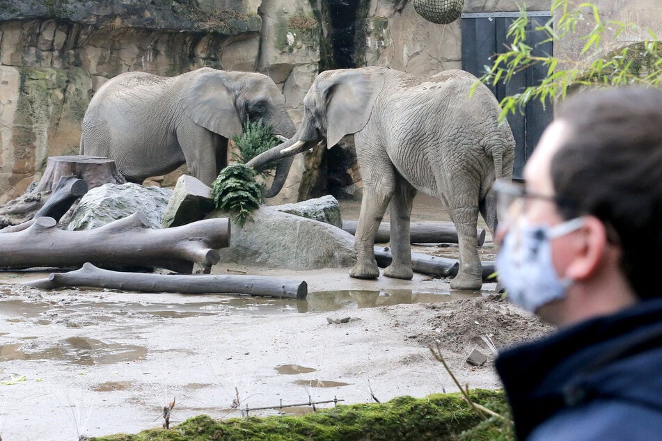 Im Zuge des ersten Lockdowns im Frühjahr 2020 hatte das Land für öffentliche und private Zoos oder Tierparks bereits 11,8 Millionen Euro bereitgestellt.