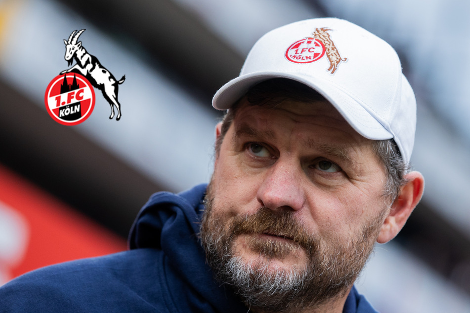 FC Köln: So will Trainer Steffen Baumgart die Sensation gegen den FC Bayern schaffen