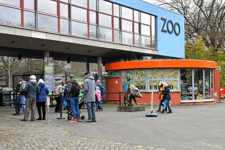 Der Zoo hebt die Eintrittspreise tierisch an.