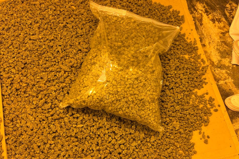Etwa 22 Kilogramm verarbeitetes Cannabis wurde sichergestellt.