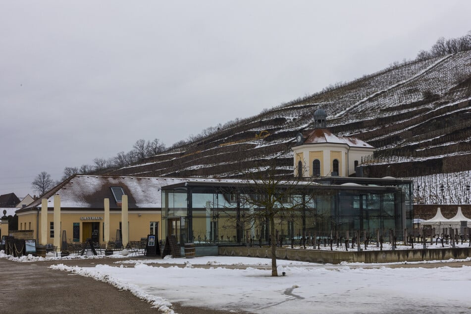 Bis Sonntag ist das Gutsrestaurant von Schloss Wackerbarth in den Händen der Azubis.
