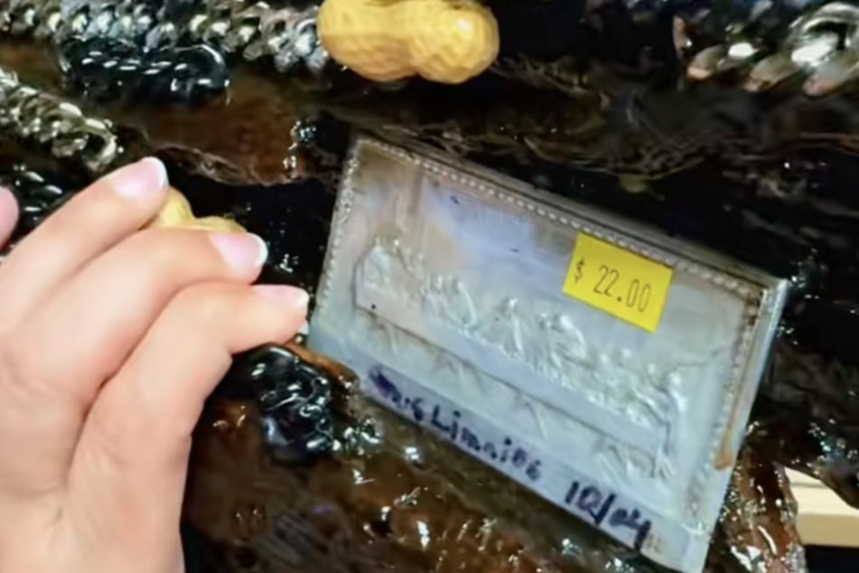 Auf der Rückseite des Fischs prangt das letzte Abendmahl.