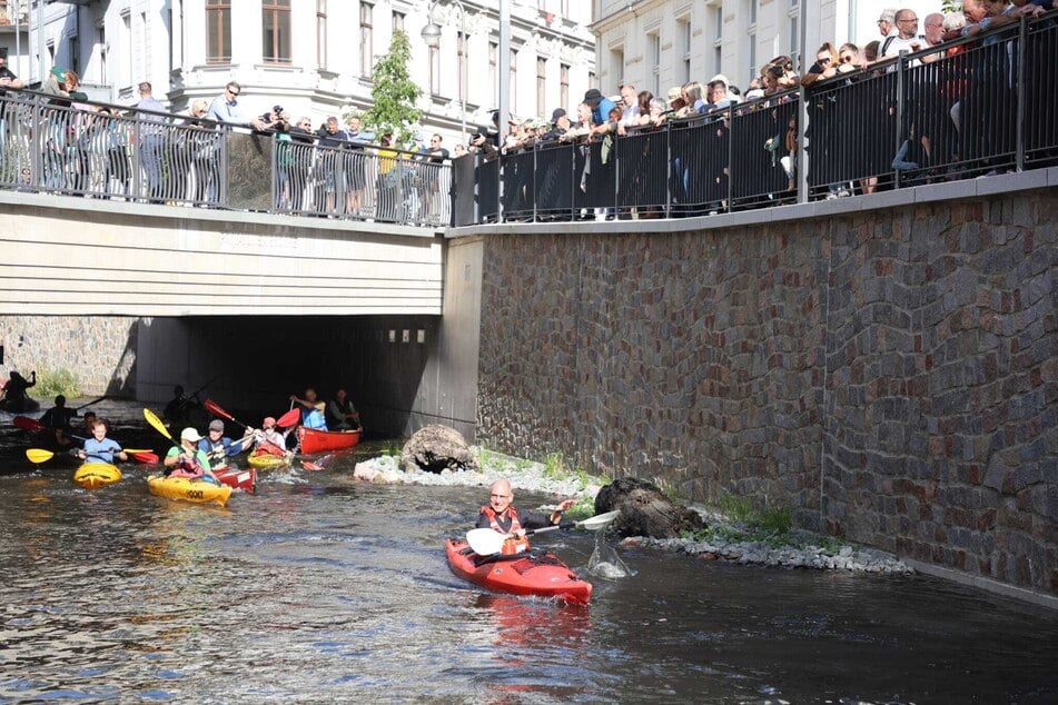 Der Elstermühlgraben ist ein etwa 4000 Meter langer künstlich angelegter Nebenarm der Weißen Elster. Er wurde im 12. Jahrhundert zur Regulierung der regelmäßigen Frühjahrshochwasser und zum Betrieb von Mühlen angelegt.