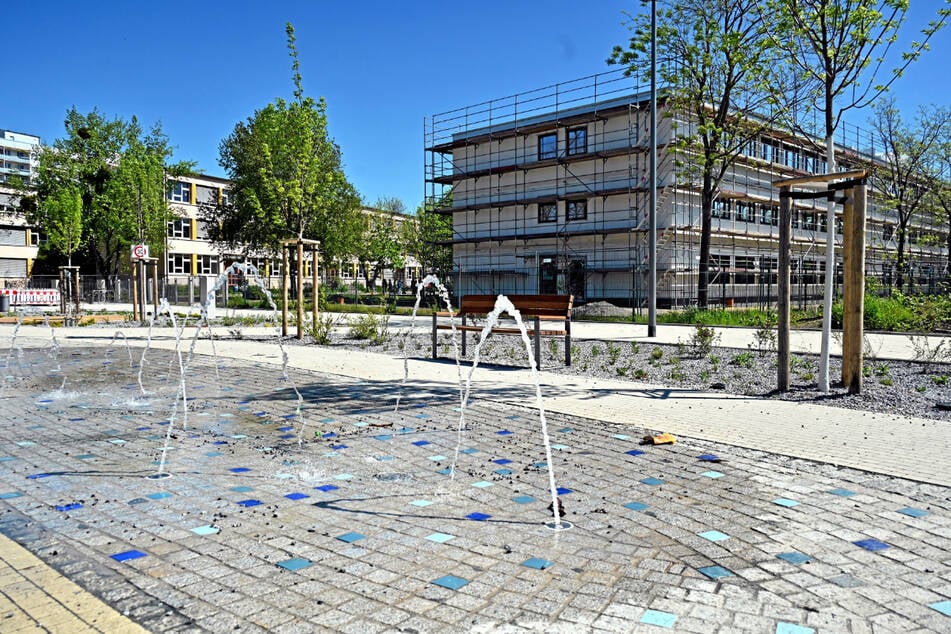 Blick von der Lili-Elbe-Straße aufs Areal.