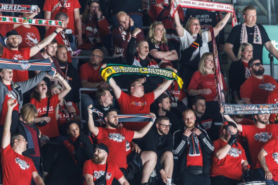 Fast 18.000 Fans der Kölner Haie pilgern im Schnitt zu den Heimspielen des KEC in die Lanxess Arena.
