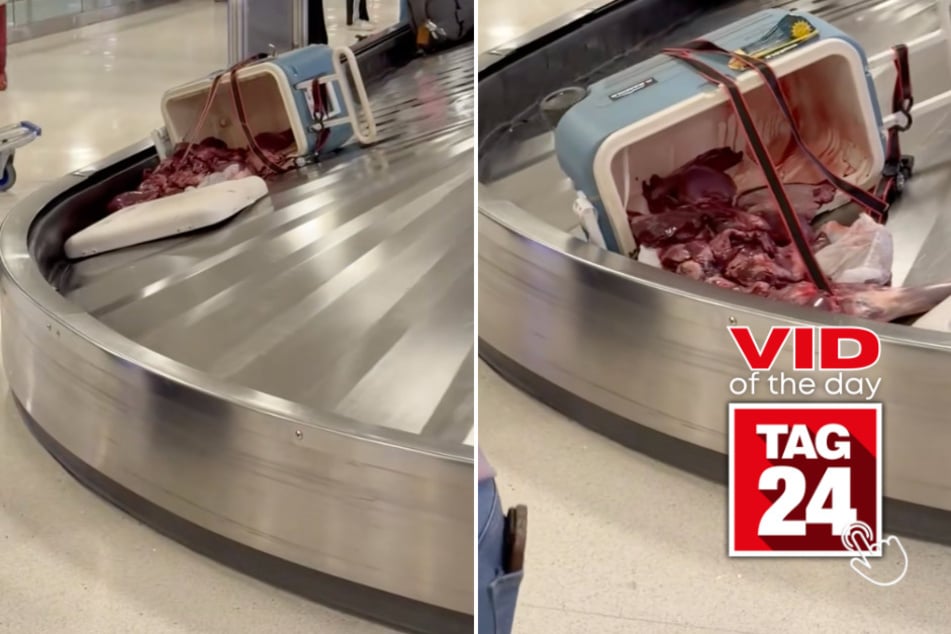 viral videos: Viral Video of the Day for January 4, 2026: Passengers shocked as cooler spills raw meat on baggage carousel!