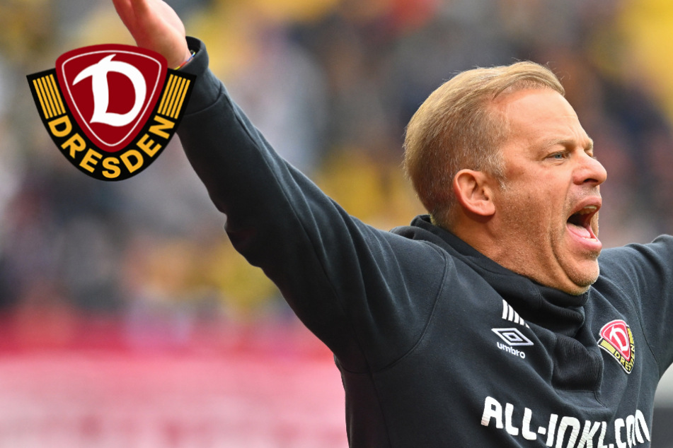 Dynamo-Coach Anfang nach Sieg begeistert: "Kompliment an die Mannschaft!"