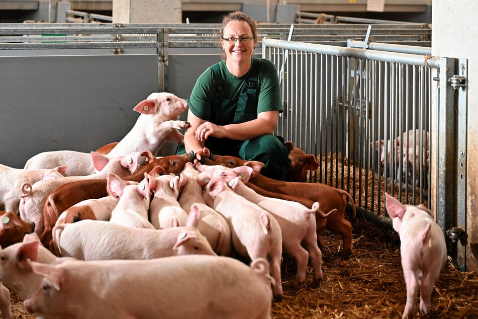 Stephanie Friebel (38) sorgt dafür, dass sich die Ferkel im Stall der Genießergenossenschaft sauwohl fühlen.