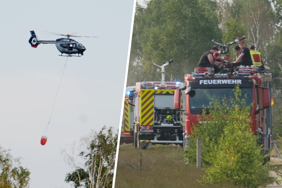 Waldbrand in der Gohrischheide: So ist die Lage am Sonntag