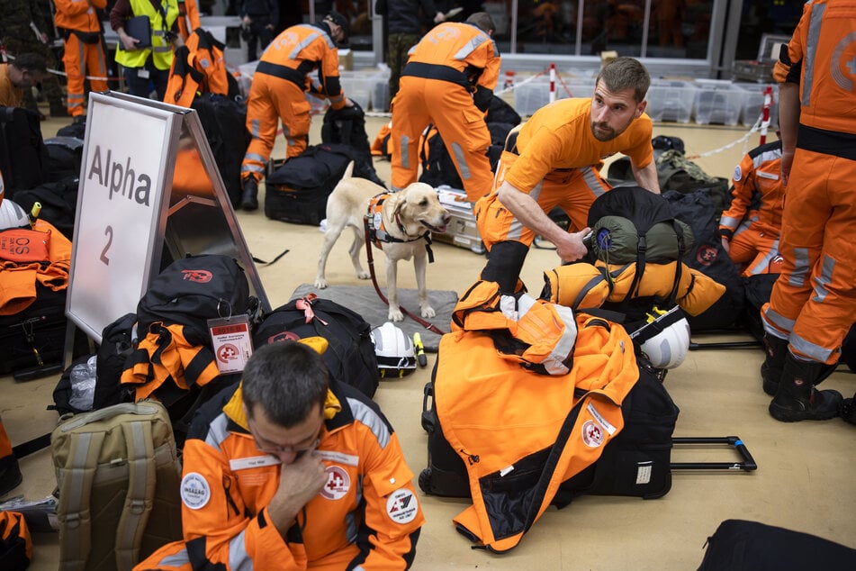 Auch die Schweizer Hilfsteams bringen Rettungshunde zur Unterstützung mit. Hier warten sie am Flughafen Zürich auf den Abflug in die Türkei.