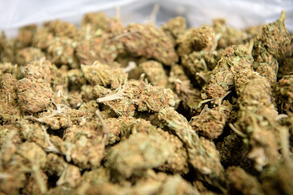 Hintergrund der brutalen Geiselnahme war der vorherige Raub von rund 350 Kilogramm Marihuana aus einer Lagerhalle, die der Drogenbande gehörten. (Symbolbild)