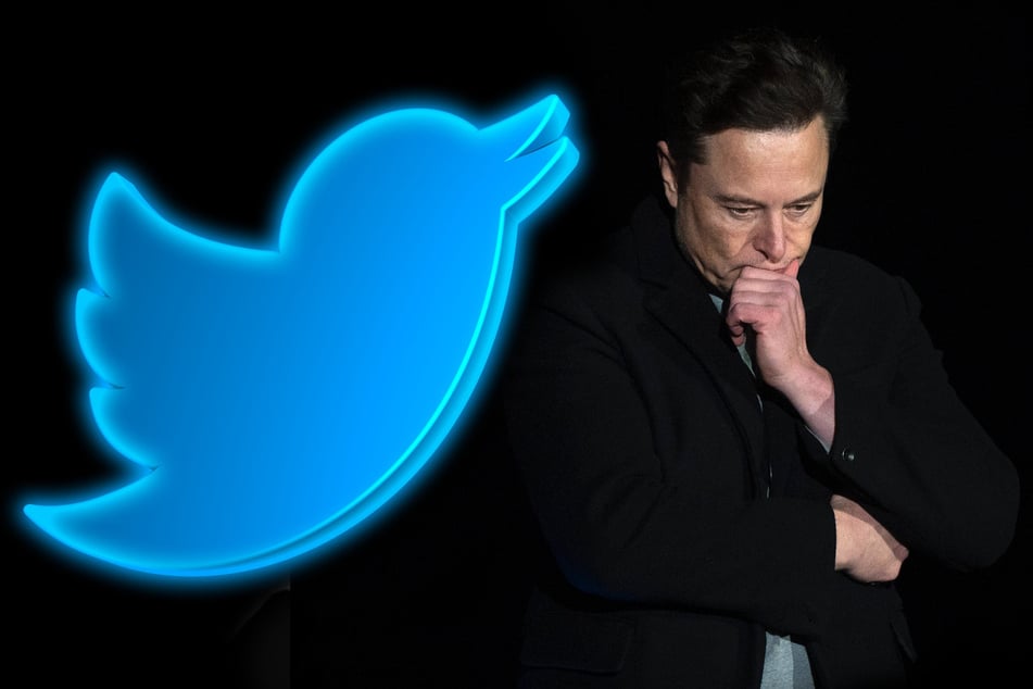 Elon Musk will resign as CEO of Twitter as soon as he finds a replacement.