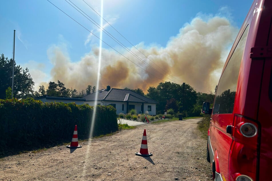 Eine Fläche von mehr als 50 Hektar ist von dem Waldbrand bei Oranienbaum betroffen.