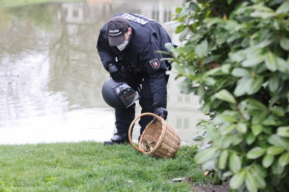 Am Teich ließen die Beamten die Kleinen dann im Beisein ihrer Mutter frei.