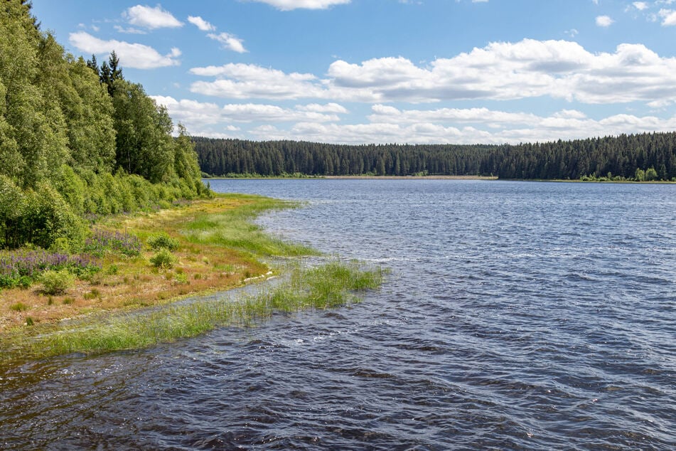 Da es sich um eine Trinkwassertalsperre handelt, sind Baden und Wassersport verboten.