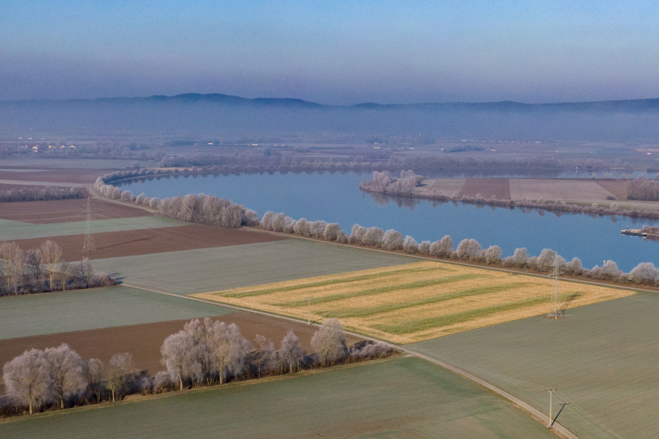 Der Flutpolder Eltheim an der Donau im Landkreis Regensburg ist laut Studie wirksam.