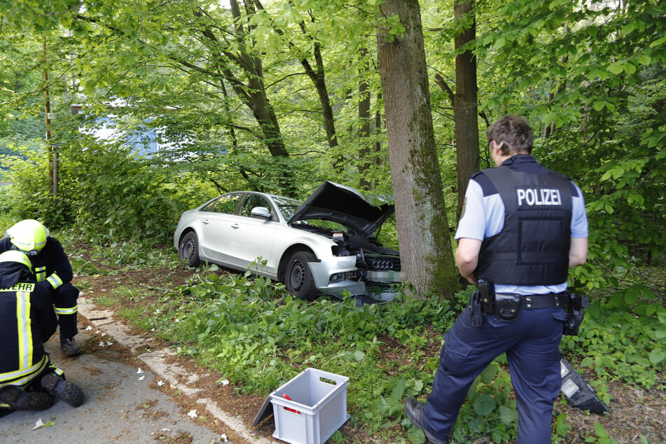 Der Audi knallte gegen einen Baum.