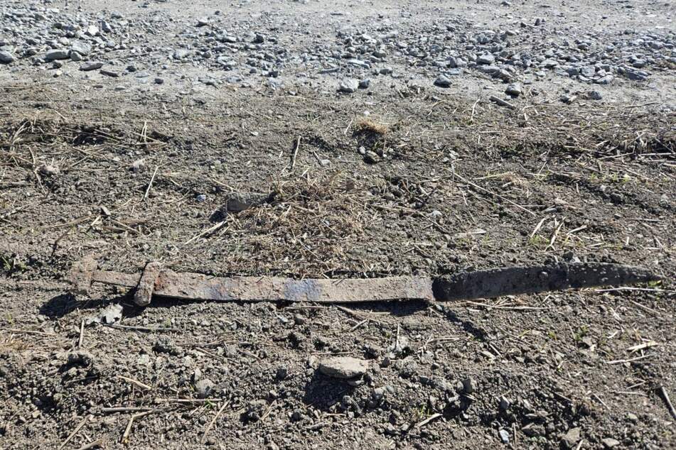 Auf dem Feld eines Bauernhofes zog der Sechsjährige ein Schwert aus der Erde.