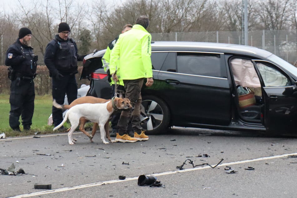 Zwei Hunde, die während des Unfalls in dem VW gesessen hatten, blieben unverletzt.