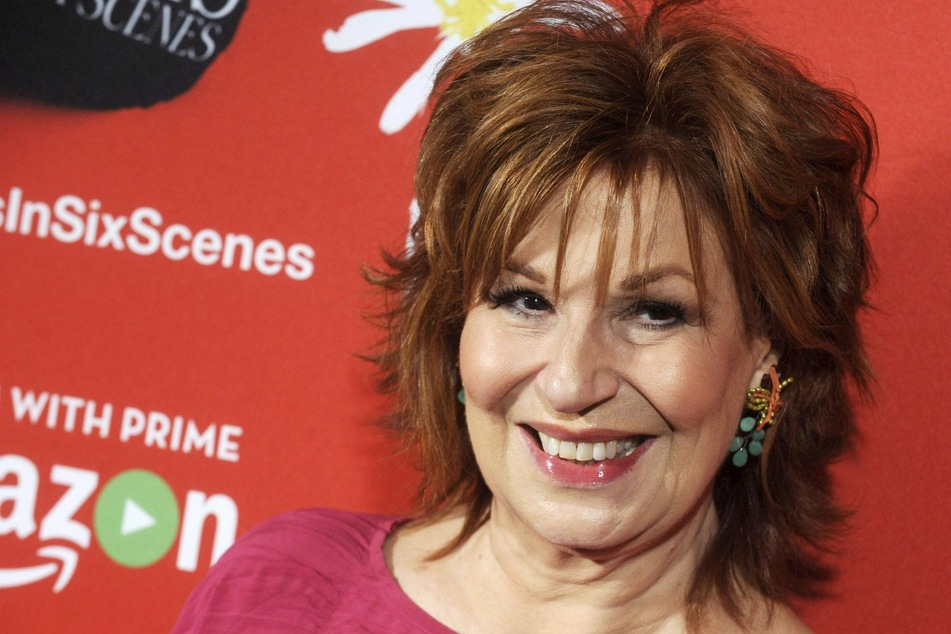 The View's Joy Behar slammed for Thanksgiving advice to gay people