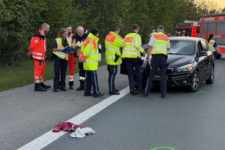 Hundeliebe endet tragisch: Frauchen rennt Tier auf Bundesstraße hinterher, dann kommt ein Auto