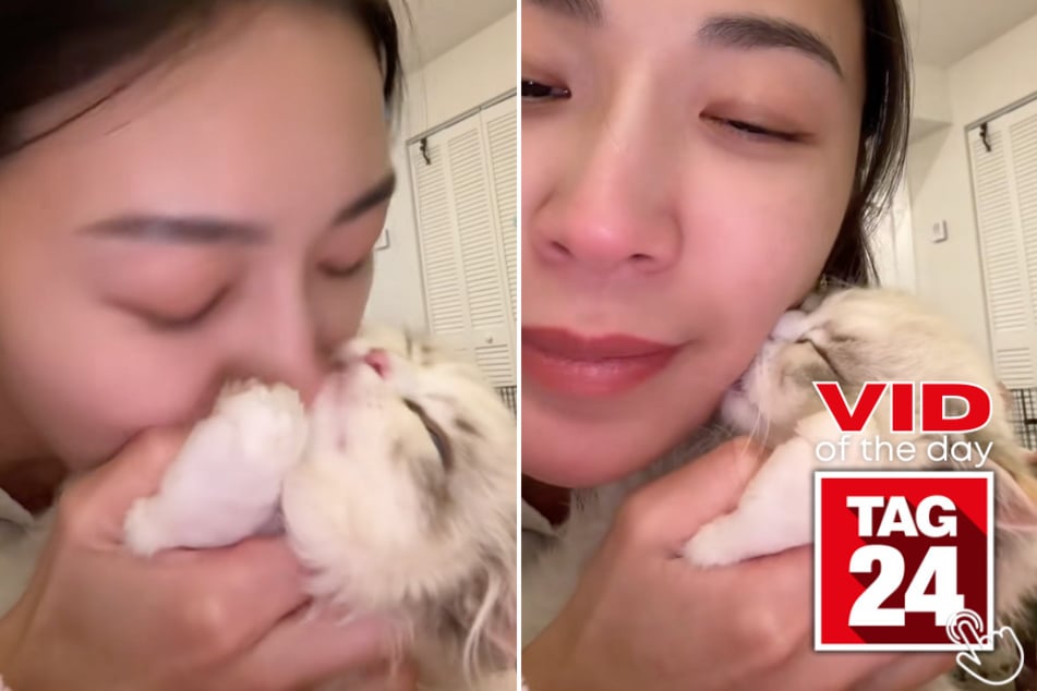 This women kissed her kitten nonstop, and viewers were not ready for what happened next!