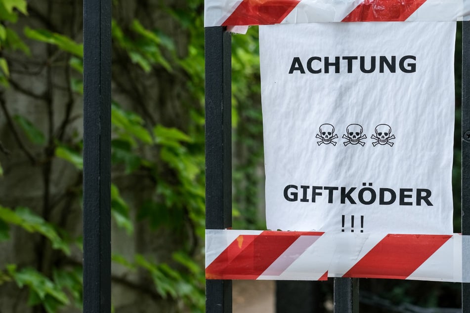 Hundehasser treibt Unwesen in Wohngebiet: 64-Jähriger unter Verdacht, Polizei sucht Zeugen