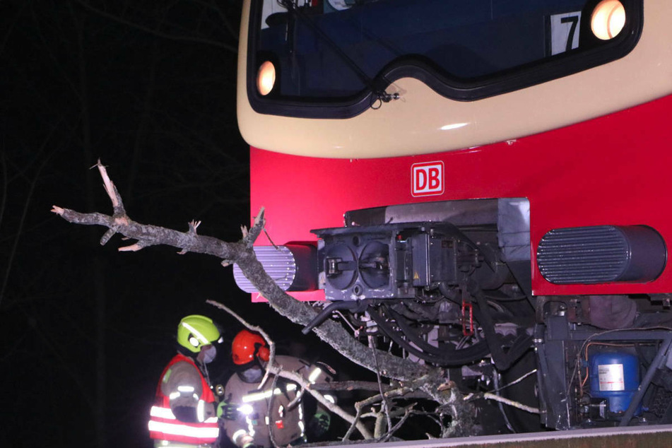 Berlin: Nadia fegt über Berlin: S-Bahn kracht gegen Baum, Feuerwehr ruft Ausnahmezustand aus