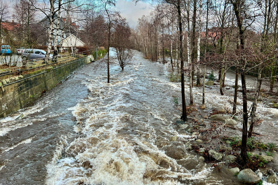 Flutwelle in Braunschweig erwartet: Menschen sollen reagieren