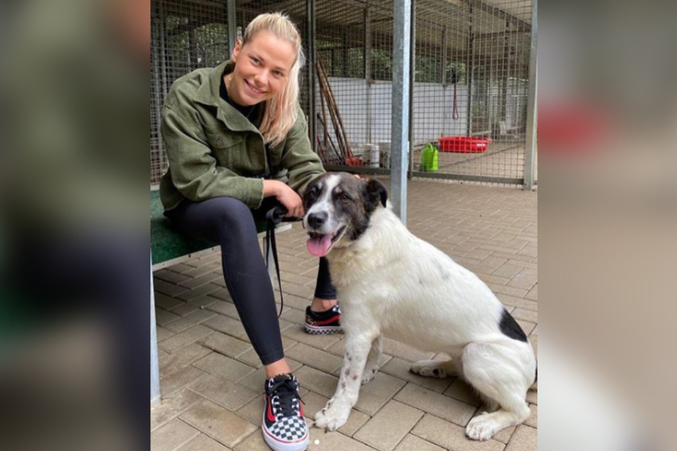 Köln: AWZ-Star Cheyenne Pahde "total verliebt" im Tierheim