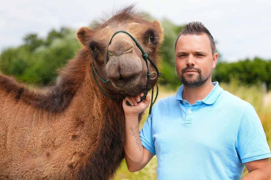 Marvin (31) aus Nordrhein-Westfalen ist der erste Kamelzüchter in der Geschichte von "Bauer sucht Frau".