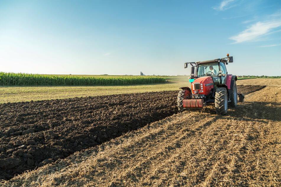 "In der Landwirtschaft müssen wir auf Sorten setzen, die mit diesen starken Temperatur- und Feuchtevariationen zurechtkommen", sagt Forscherin Jacob. (Symbolbild)