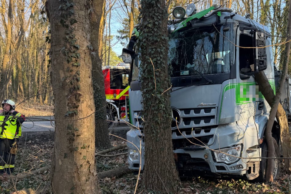 Medizinischer Notfall? Lkw kracht gegen Baum, Fahrer reanimiert