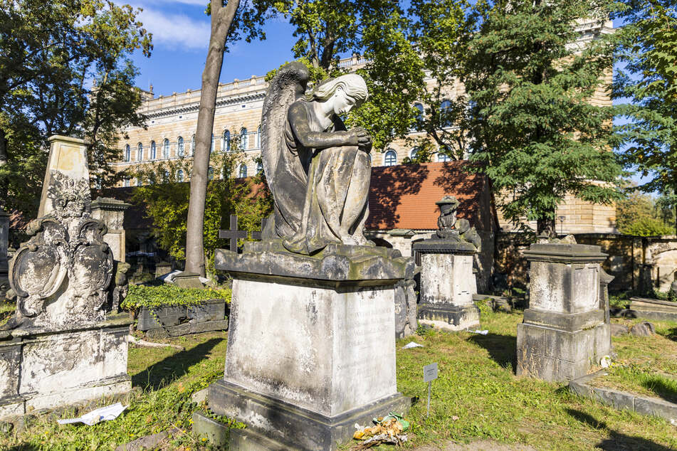 Aufgrund von Astbruchgefahr ist der Eliasfriedhof eigentlich derzeit geschlossen.